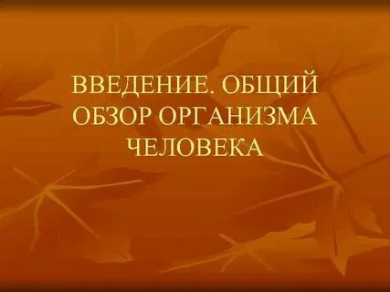 Обзор теле