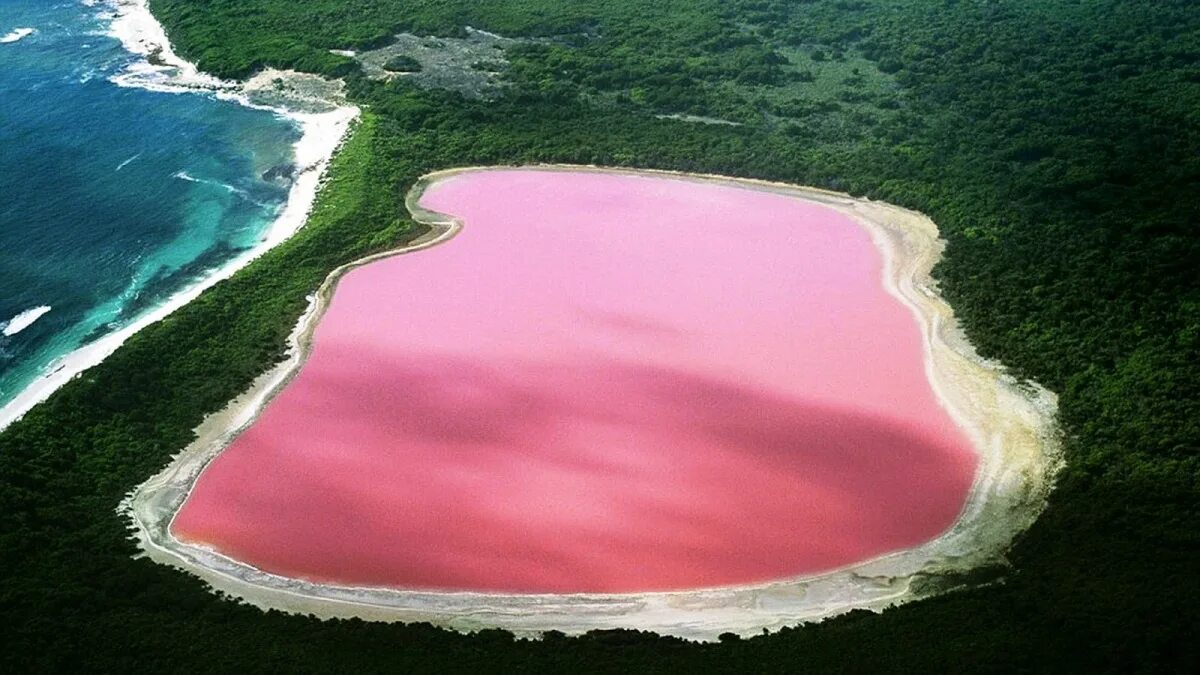 Озеро Ретба Сенегал. Озеро Хиллер. Озеро Хиллер остров Миддл Австралия. Розовое озеро Хиллер Австралия. Водоемы нашей планеты