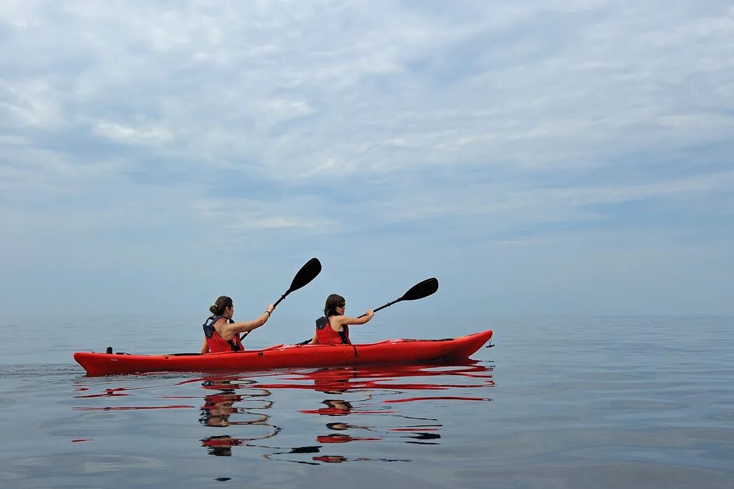 байдарка спортивная четвёрка. гребля на байдарках и каноэ. липкин байдарочник. байдарка спорт. гребля на байдарках и каноэ.