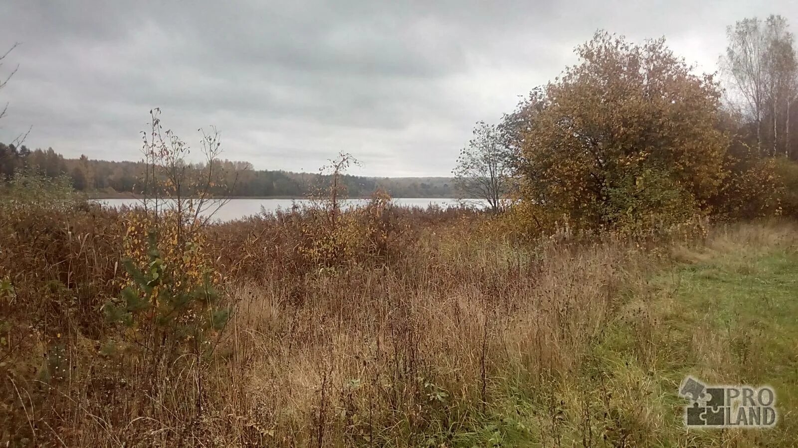 Погода зайцево крестецкий. Озеро Соменка Новгородская область.