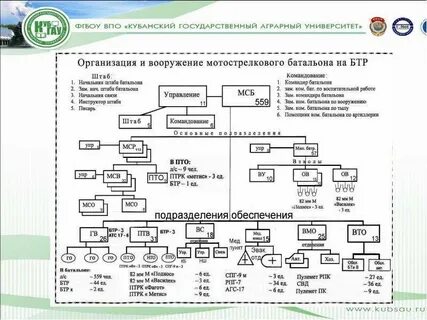 Руководитель медицинского обеспечения действий мотострелкового танкового батальона