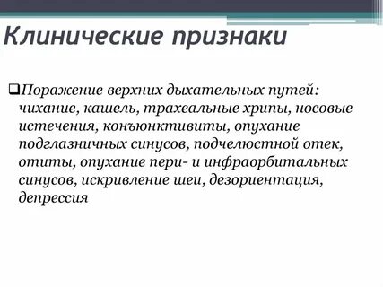 Метапневмовирус рнк