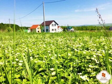 Поселок хутор