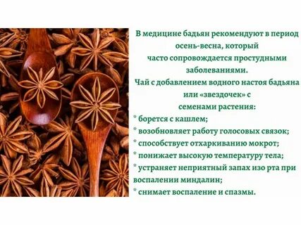 Польза бадьяна