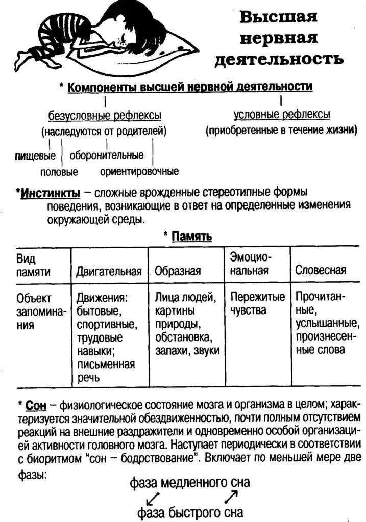 Высшая нервная деятельность человека кратко. ВНД человека 8 класс биология таблица. Особенности высшей нервной деятельности человека 8 класс таблица. Таблица по биологии 8 класс Высшая нервная деятельность. Высшая нервная деятельность 8 класс биология.