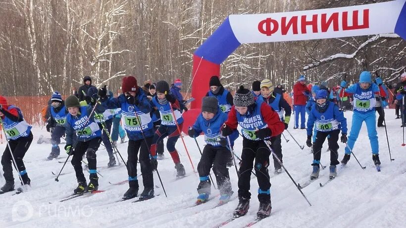 Подольская лыжня 2022. Лыжная трасса в подольске. Подольская лыжня 2024. Подольская лыжня 2022. Подольск лыжные трассы.