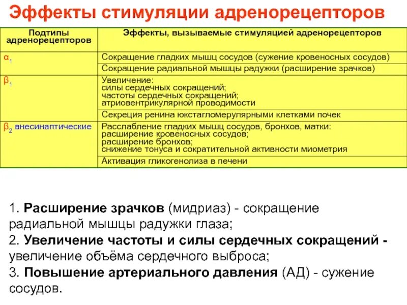 Эффекты связанные со стимуляцией а2-адренорецепторов. Эффекты альфа адренорецепторов. Эффекты связанные с возбуждением бета 1 адренорецепторов. Эффекты стимуляции адренорецепторов. Локализация бета 3 адренорецепторов.