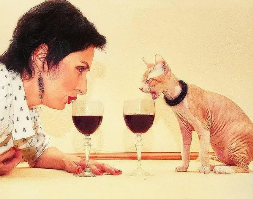 Быть не может на. Женщина пьет с котом. Хозяйка пьет с котом. Открытки настроение выпить. Выпьем.