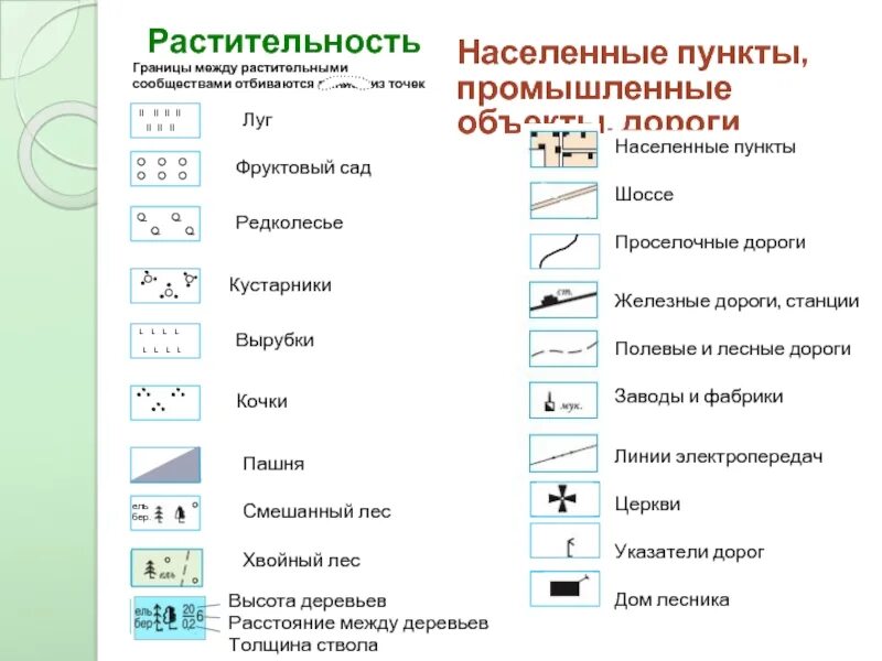 Топографические условные знаки лес. Условные обозначения растительности. Знаки топографии растительность. Растительный Покров условные знаки. Обозначения леса на карт