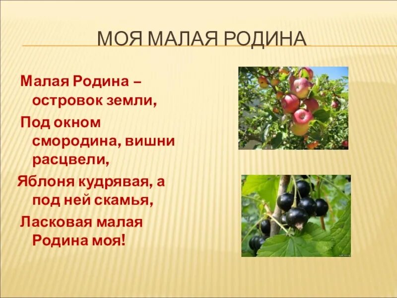 Малая Родина островок земли под окном смородина. Малая Родина островок земли. Малая Родина островок земли под окном смородина вишни расцвели. Малая Родина островок земли Автор.