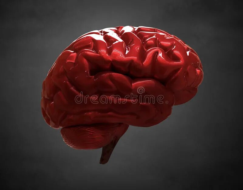 Ишемический инсульт мозг. Кровяные мозги. Кровяные мозги. Геморрагический инсульт мозг. Снимки кровеносных сосудов в мозге.