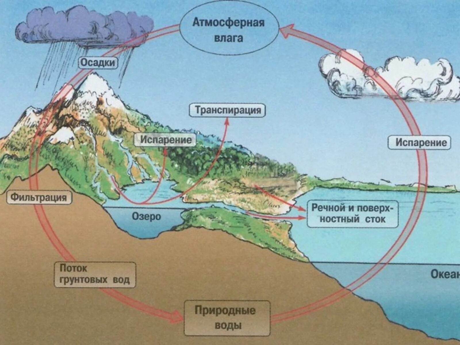 Круговорот реки