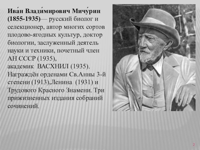 Иван мичурин (1855 – 1935) биолог, селекционер. Русский биолог селекционер. Иван мичурин, биолог и селекционер. Мичурин иван владимирович портрет. Иван мичурин селекционер.