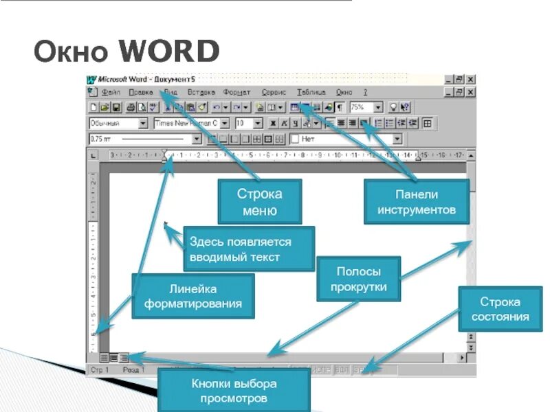 Текстовый процессор Microsoft Office Word. Текстовый процессор MS Word презентация. Microsoft Office Word функции. Текстовый редактор MS Word. Возможности MS Word.. Рабочее окно word