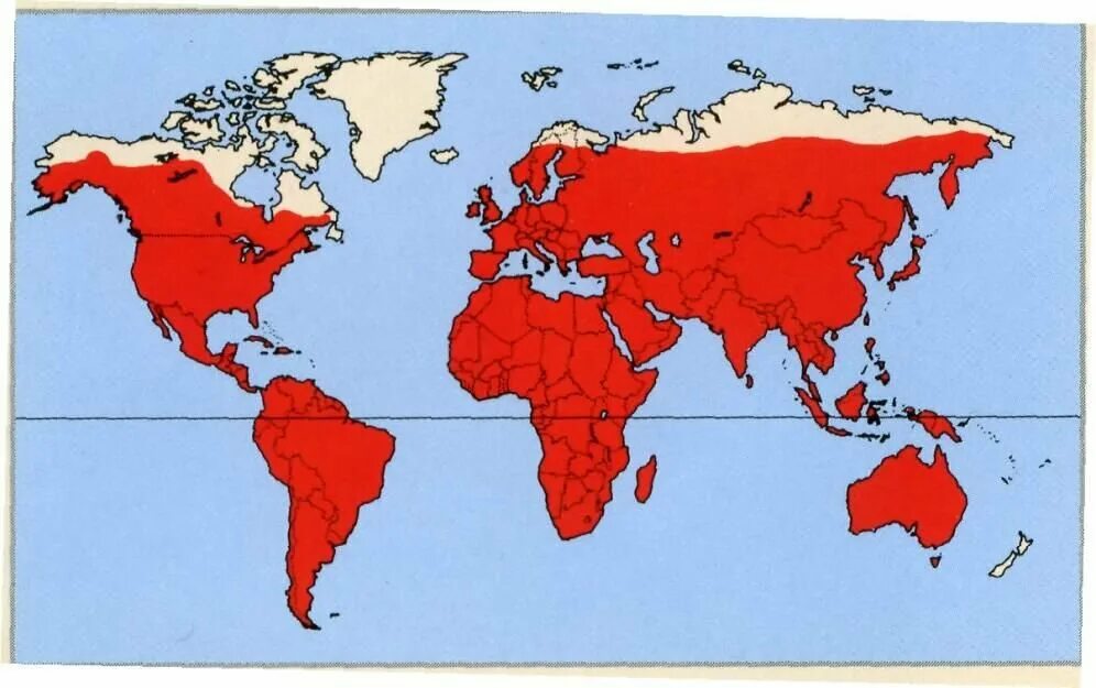 Ареал обитания песцов в россии. Ареал распространения осины. Ареал распространения. Малина ареал распространения. Места распространения.