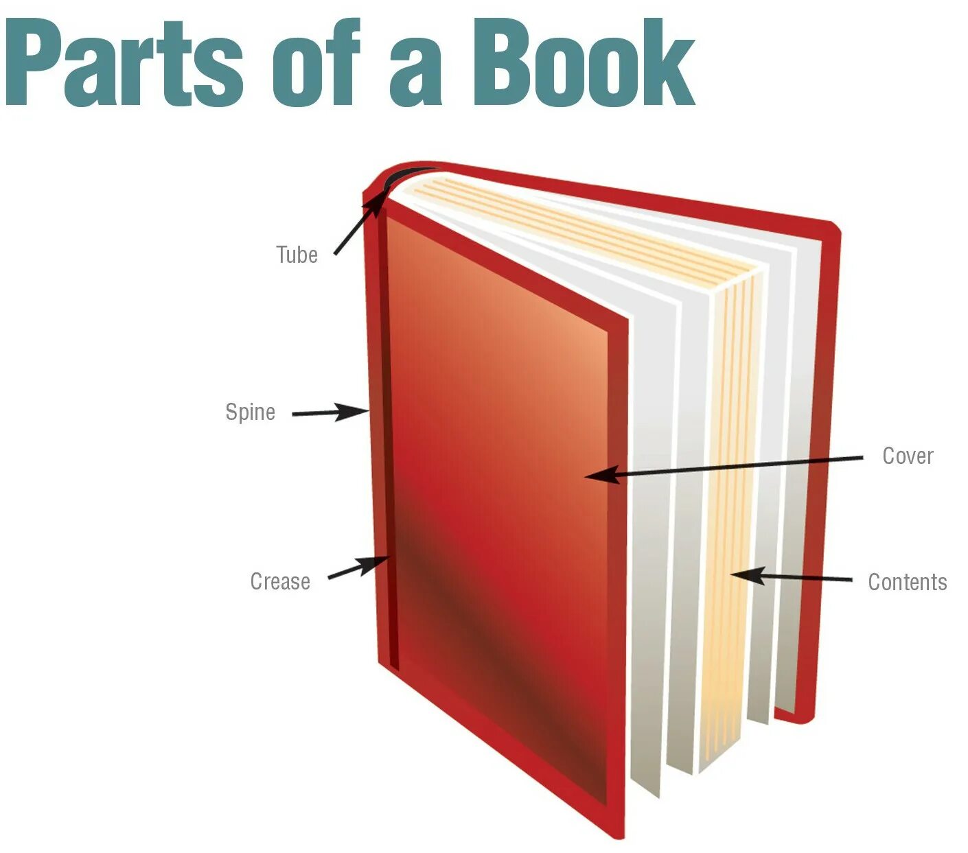 Books are a part of. Part книги. book parts. book spine. parts of the book in english.