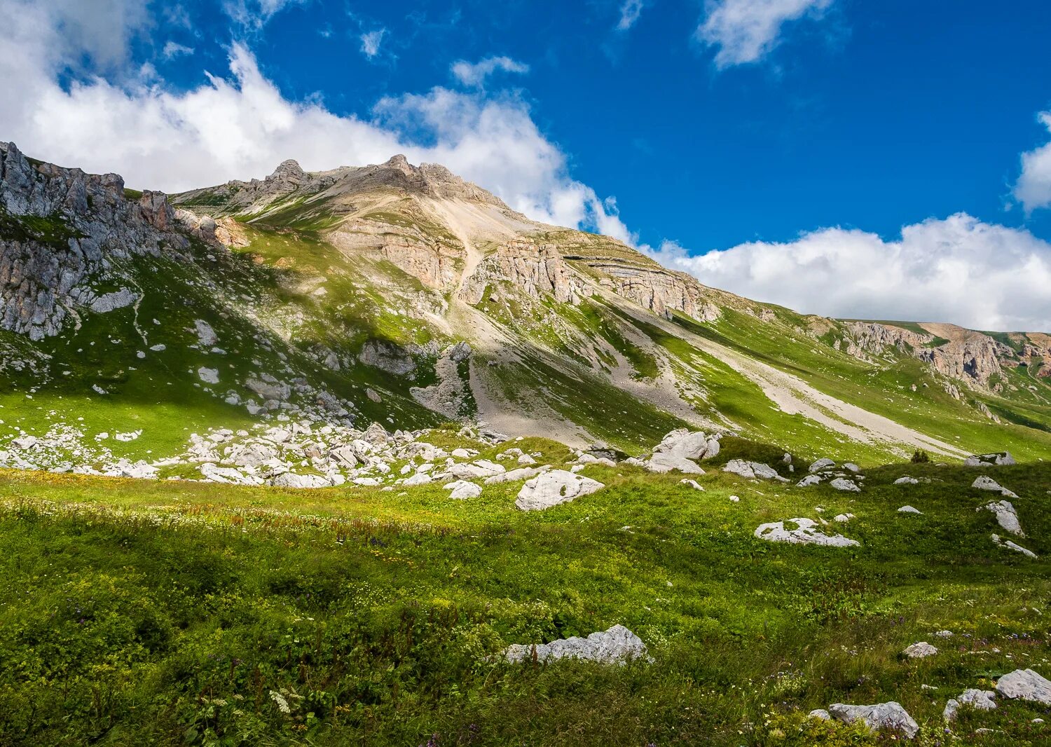 Плато Лагонаки Фишт. Гора Оштен Лагонаки. Кавказский заповедник гора Оштен. Адыгея плато Лагонаки гора Фишт. Камера лагонаки адыгея