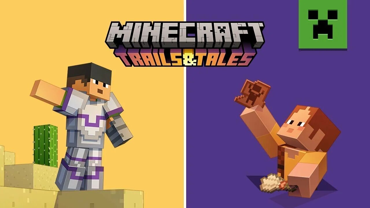 Minecraft trim