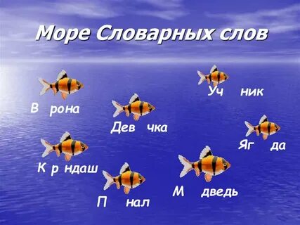 Море слов морской
