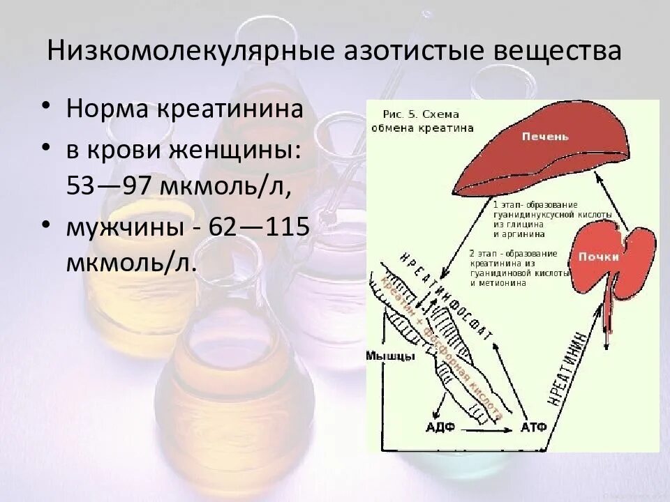 Норма креатинина у мужчины 70 лет. Биохимия крови показатели креатин. Повышение уровня креатинина в крови. Креатинин сыворотки норма мкмоль/л. Норма кратитина в крови.