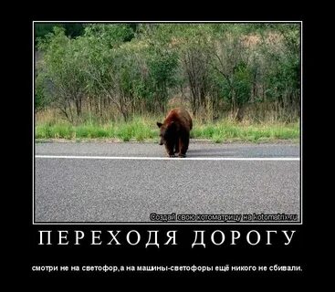 Не сбей