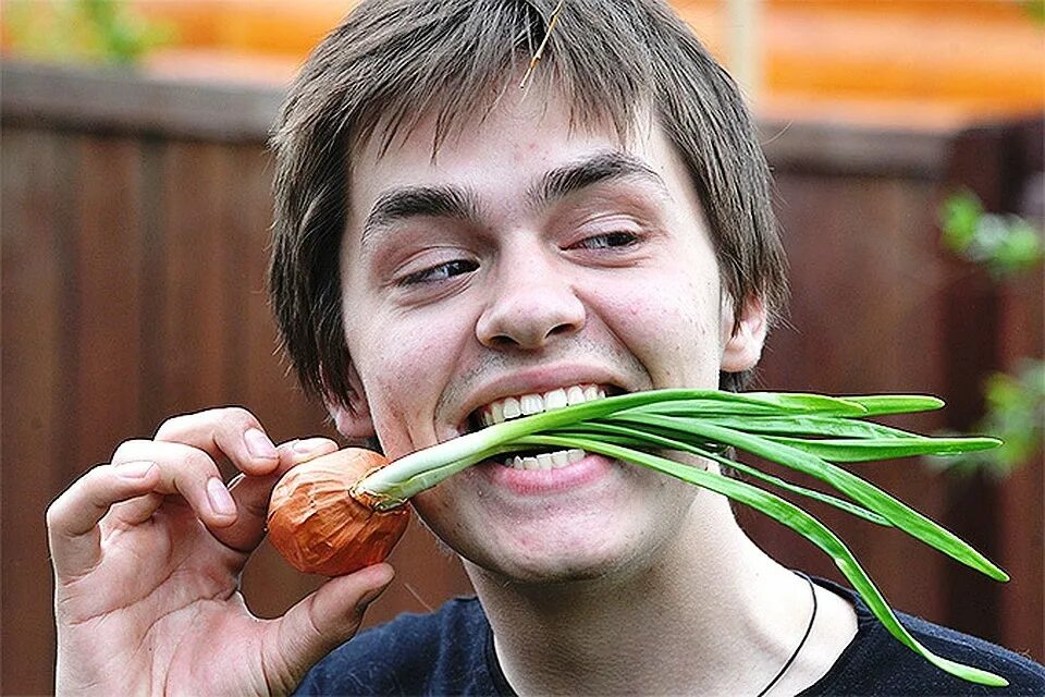 Польза зеленого лука. Как человек влияет на лук. Как человек влияет на лук. Лук репчатый витамины. Как человек влияет на лук.