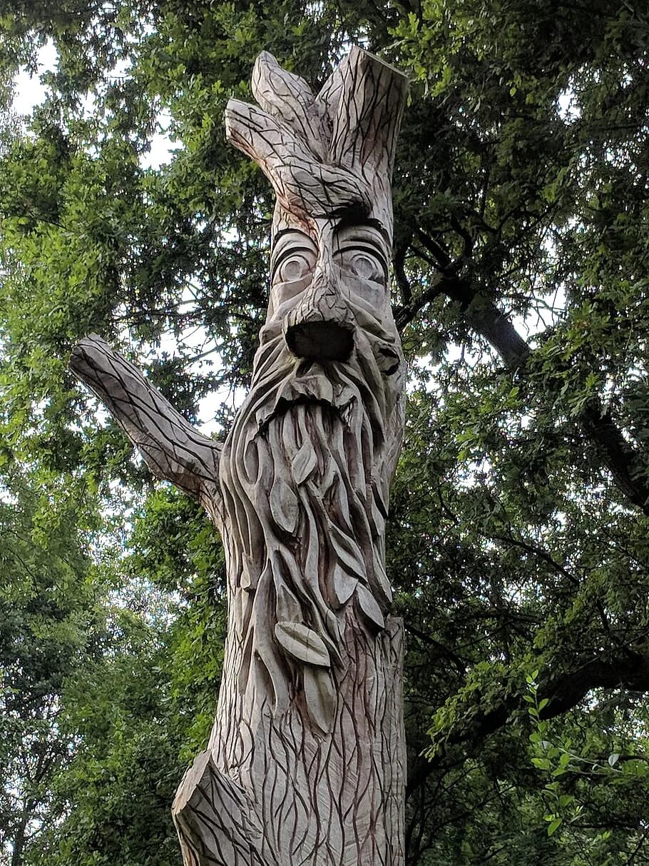 Картинки лицо дерево. Леший дерево. Скульптура «Леший». Леший из дерева. Дух дерева.
