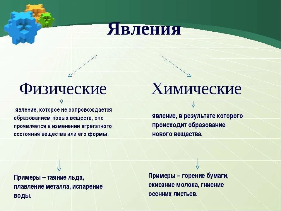 Природа типы групп