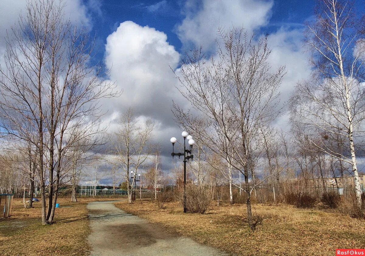 бьющий в апрельское небо над припятью