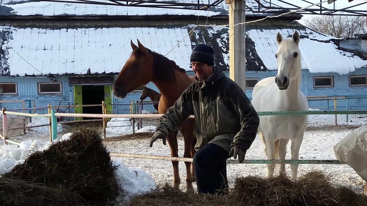 Совхоз пушкина