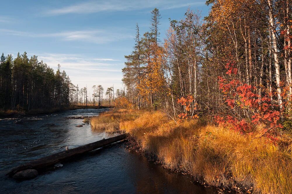 карелия сейчас. лучшее время для карелии. дача винтера карелия зимой. белое озеро карелия. лучшее время для карелии.