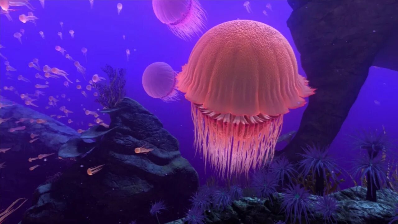Море в vr играх. Водный мир на рабочий стол. Vr океан. Ocean rift игра. Игра про подводный мир.