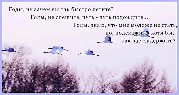 Стихи пролетели годы. Стихи как быстро годы пролетают. Цитаты как быстро пролетают года. Афоризмы а годы летят.