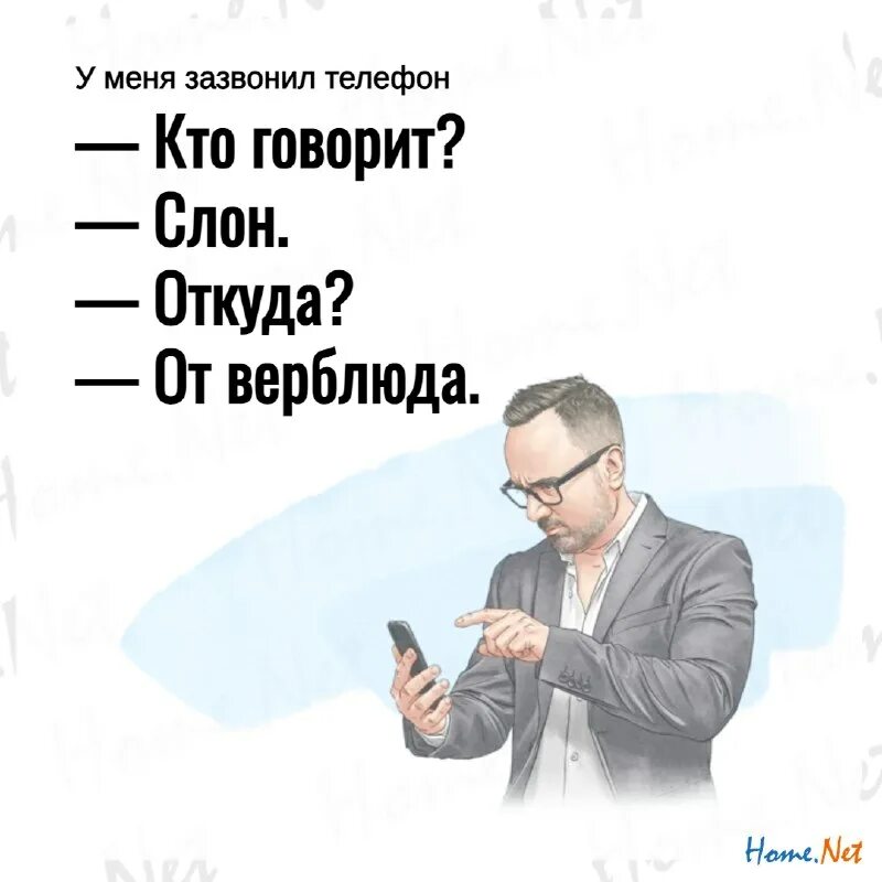 хомнет воскресенск телефоны