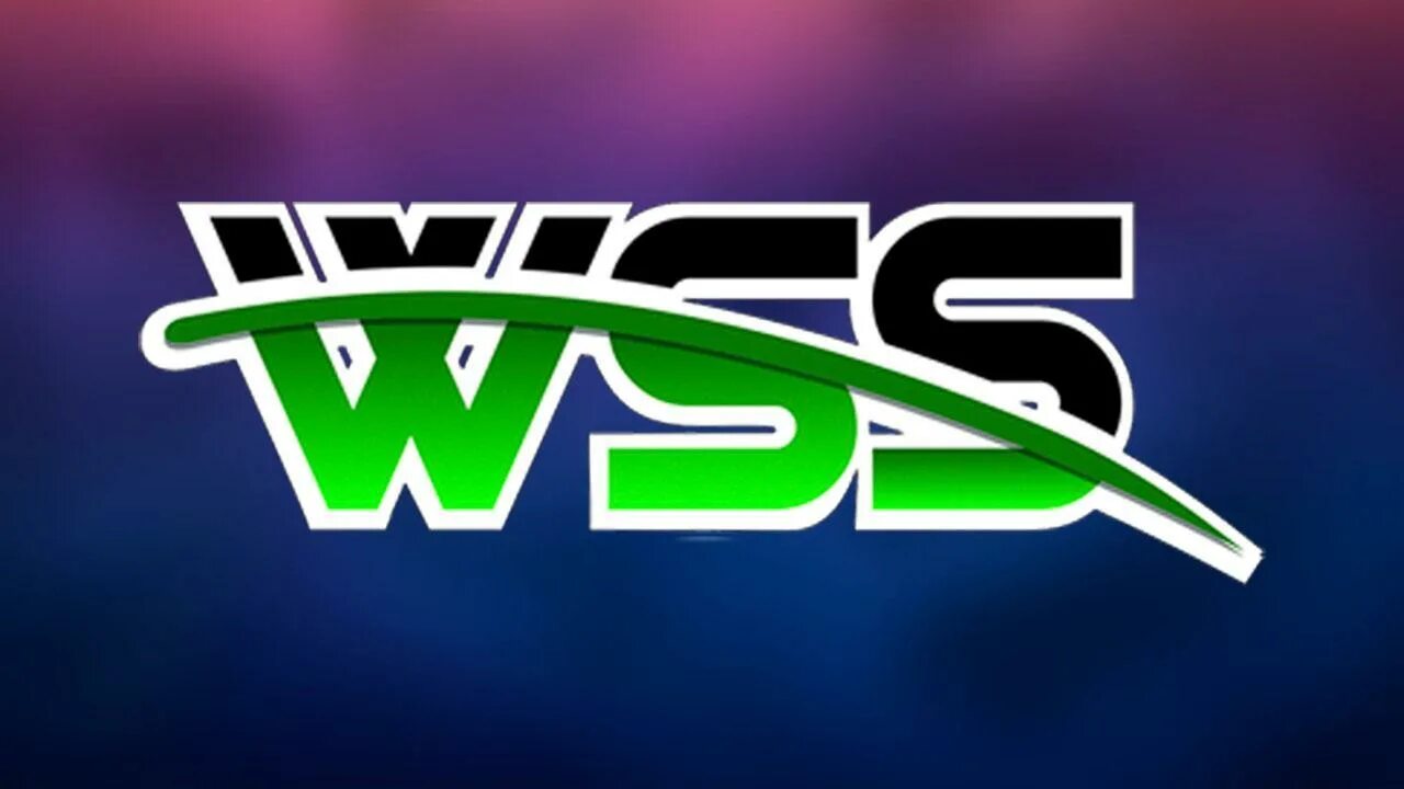 Wss docs. Wss. логотипы wss. wss docs лого. wss программа.