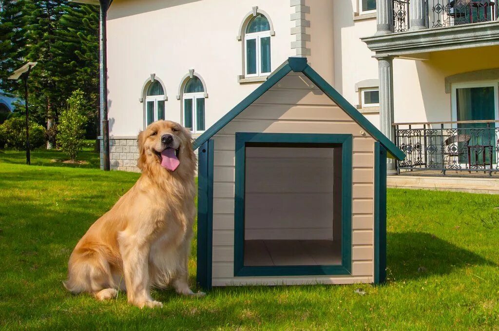 Дог хаус играть демо dog houses info. Жилище собаки. Дог Хаус. Дог Хаус демо. Дог Хаус красивое название.