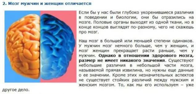 Что значит давать мозги