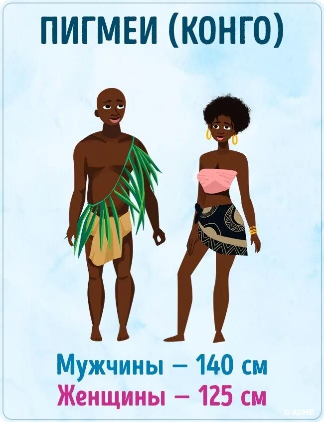 Средний рост японцев мужчин. Средний рост. средний рост мужчины. средний рост женщины. средний рост в мире.