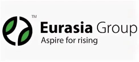 Eurasia group