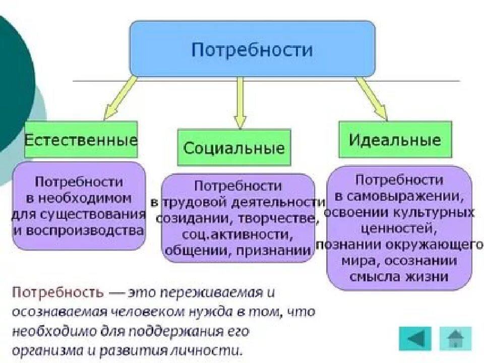 Какие виды потребностей относят к биологическим. Идеальные духовные потребности человека. Идеальные потребности это в обществознании. Экцациальные потребности. Социальные потребности человека.