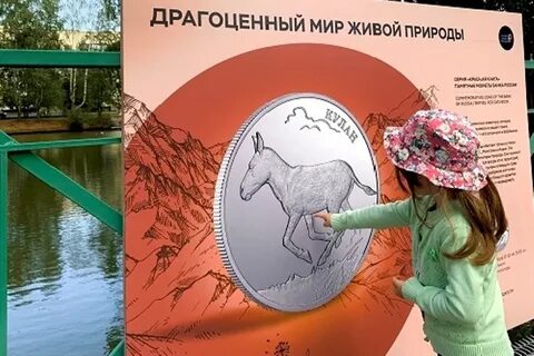 Благородный мир