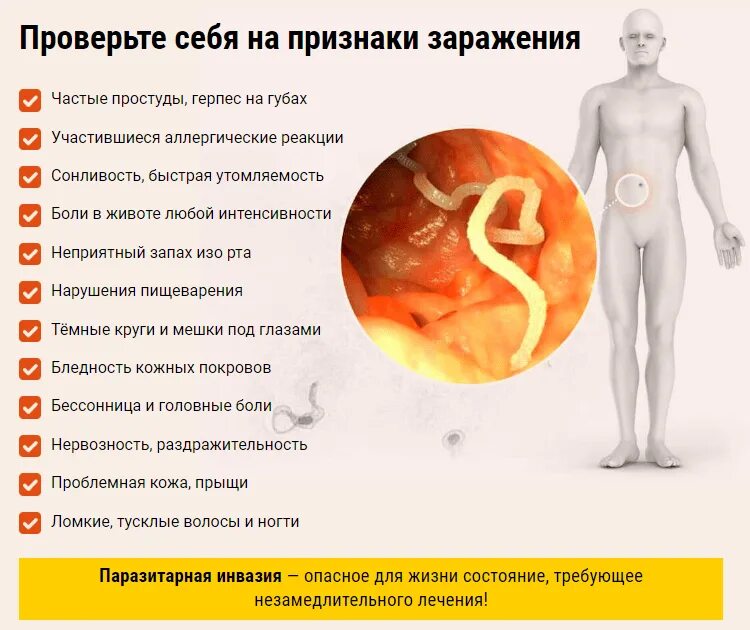 Глисты симптомы как определить. Глистная инвазия симптомы. симптомы глистных инфекций. признаки заражения гельминтами.