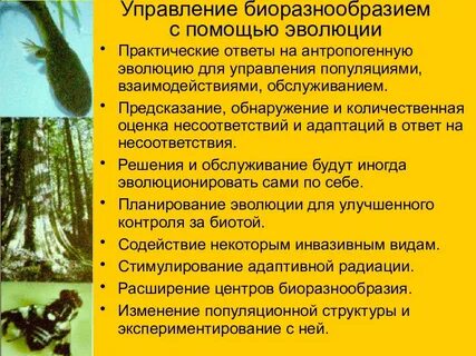 Причины биоразнообразия