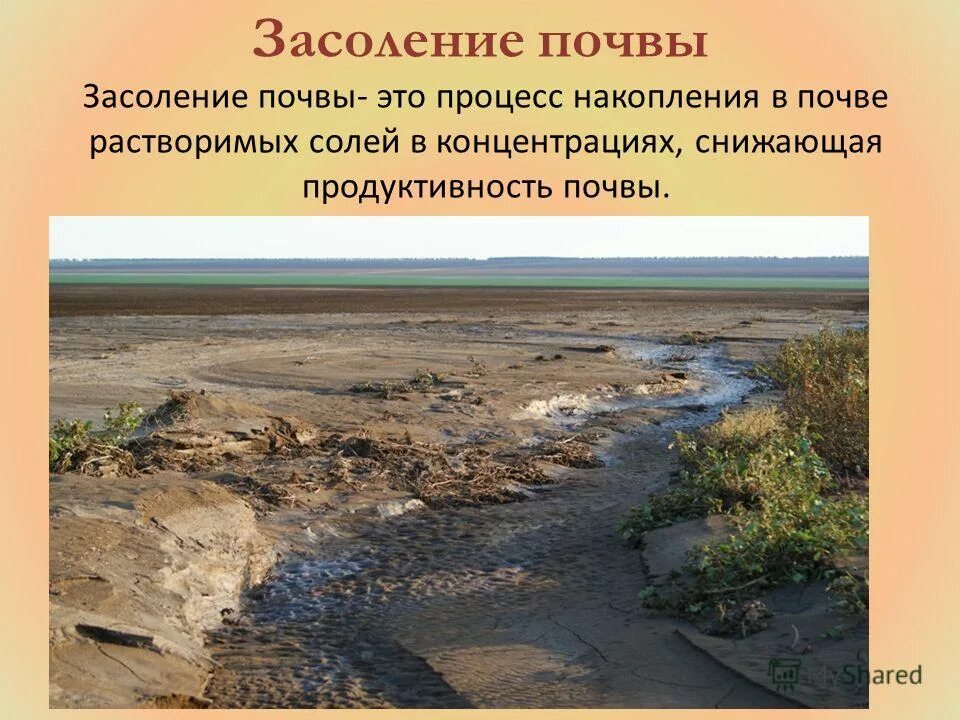 Сильно засоленные почвы россии. Засоление почв. Вторичное засоление почв. Вторичное засоление и заболачивание почв. Причины засоления и заболачивания почв.