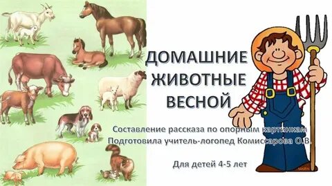 Деятельность домашнего животного