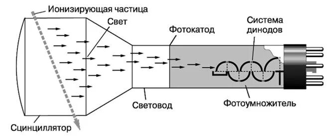 Метод сцинтилляций устройство и используемое вещество. Сцинтилляционный детектор схема. сцинтилляционный метод схема. сцинтилляционный метод схема устройства.