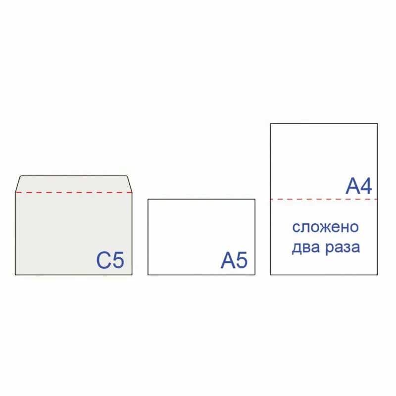 Конверт формата а5. Конверт с5, комплект 1000 шт., отравная полоса 162х229мм. конверт с5 (162 × 229 мм.). конверт с5 размер 162х229 мм. конверт почтовый с5 162х229 мм размер.