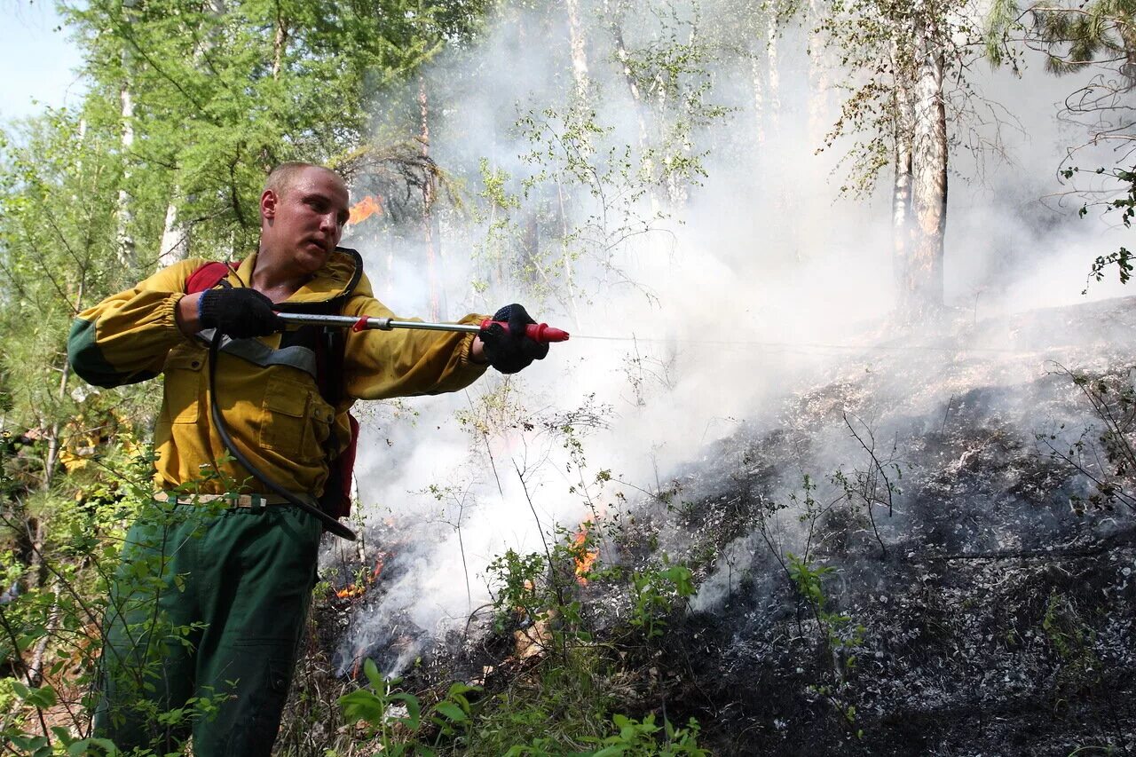 Тактика тушения лесных пожаров. Лесные пожары. Тушение лесных пожаров сообщение. Методы и способы тушения лесных пожаров. Тайга в огне.