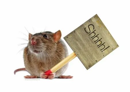 A mouse biting