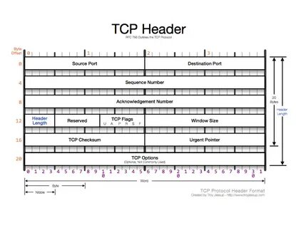 Tcp заголовок размер